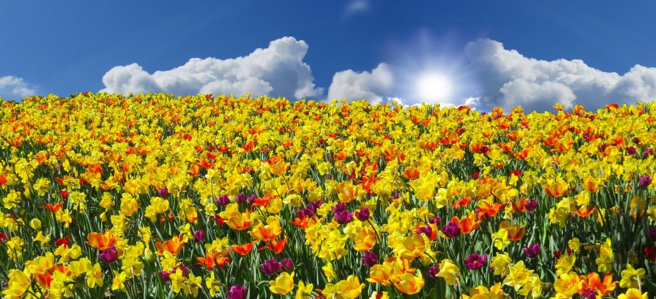 Zeitqualität April 2022-Ostern-Energie