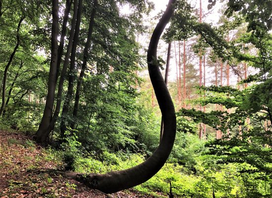 Spirituelle Suche-Essenz-Erwachen-Wesentlicher Leben-Liebe
