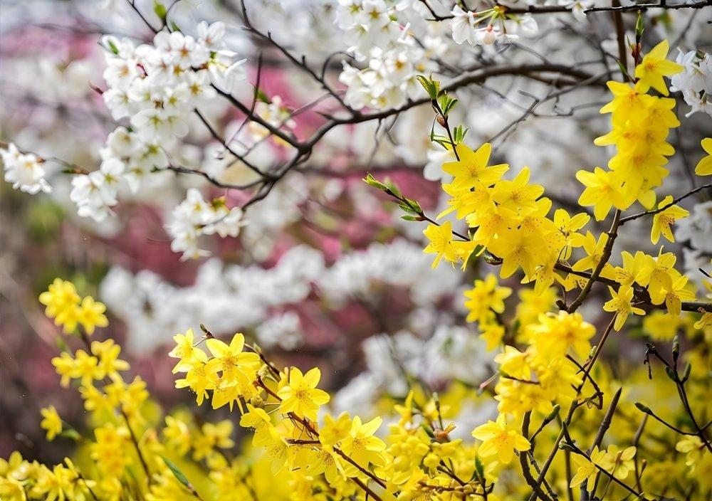 Aufstiegssymptome-April-Mai-aktuelle Zeitqualität-Energien-Maria Liebig-Blog