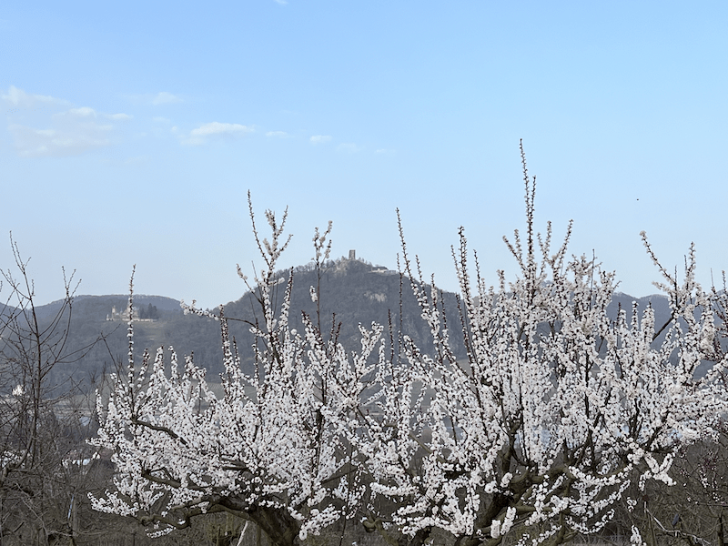 Bewusstseinswandel-Zeitqualität-7. Dimension