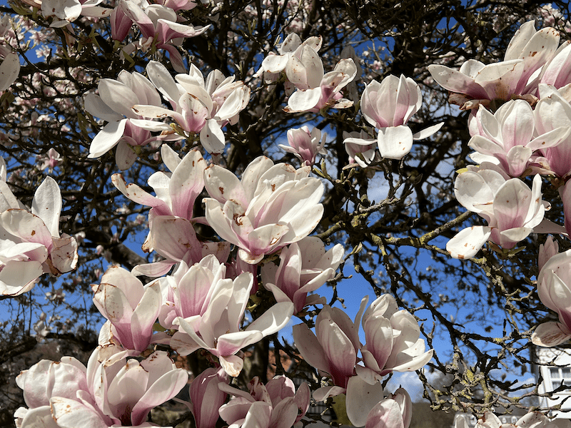 aktuelle Zeitqualität-7. Dimension-Lichtkanal-Lichtarbeiter